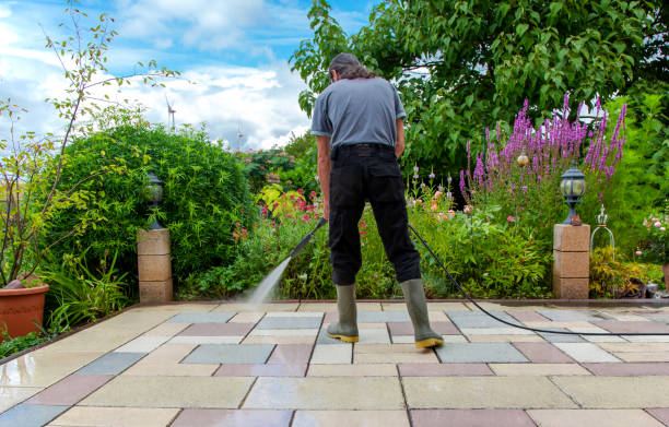Best Animal Enclosure Cleaning  in Cozad, NE